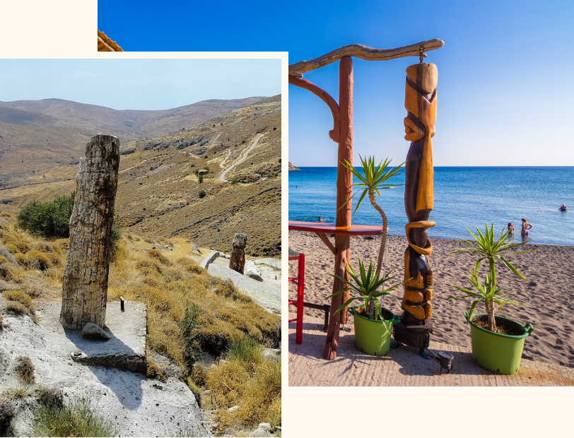 Fossilised tree trunks at the UNESCO Petrified Forest of Lesvos, western Greece